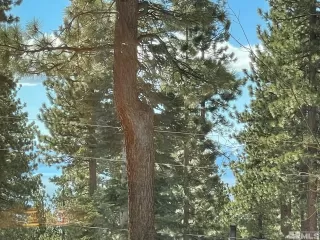 Photo #3: 220012252 Listing 