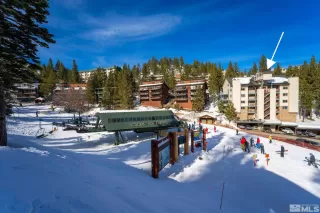 Photo #1: 230003538 Listing