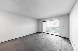 Photo #5: 230009890 Listing