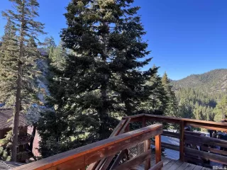 Photo #4: 230009987 Listing