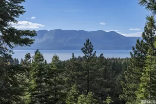 Photo #2: 230011741 Listing