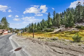 Photo #5: 230012224 Listing