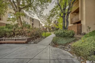 Photo #1: 230012632 Listing