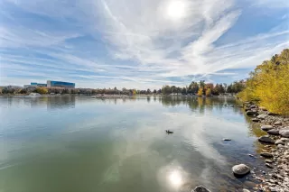 Photo #4: 230012796 Listing 