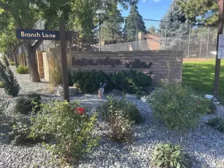 Photo #1: 230012955 Listing