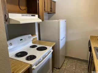 Photo #2: 230012959 Listing