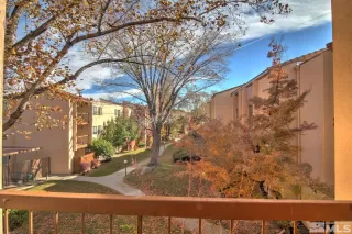 Photo #1: 230013125 Listing