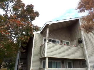 Photo #2: 230013823 Listing