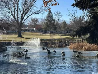 Photo #4: 230014139 Listing