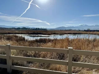 Photo #1: 230014155 Listing