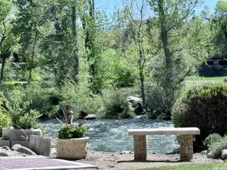 Photo #3: 240001158 Listing