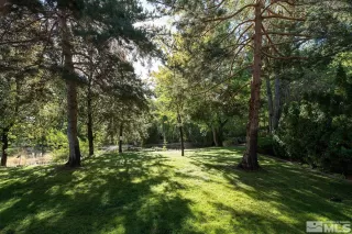 Photo #5: 240001400 Listing