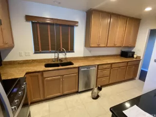 Photo #6: 240001900 Listing