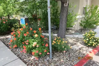 Photo #3: 240001942 Listing 