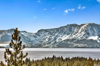 Photo #6: 240002498 Listing 