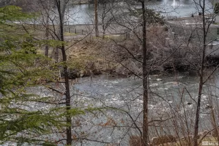 Photo #5: 240002767 Listing