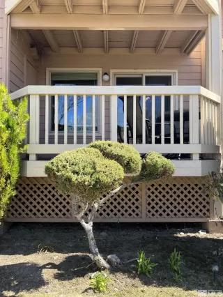 Photo #3: 240002889 Listing 