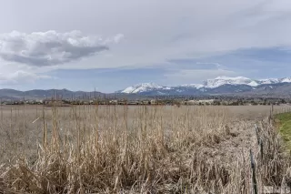 Photo #4: 240004000 Listing 