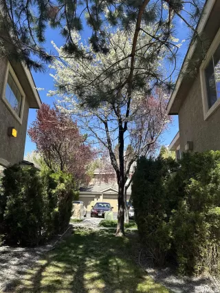 Photo #3: 240004006 Listing 