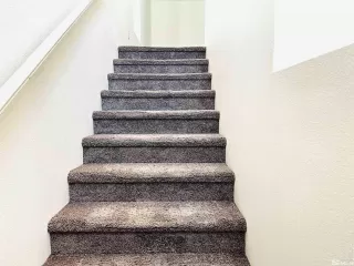 Photo #6: 240004713 Listing 