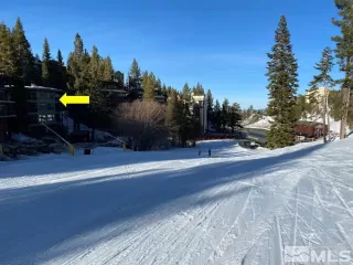 Photo #1: 240005057 Listing