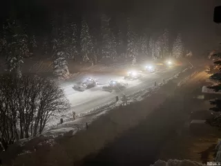 Photo #2: 240005057 Listing