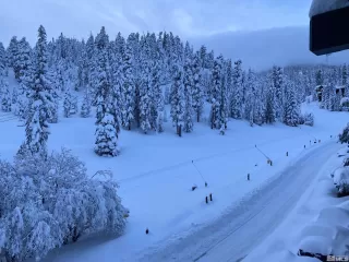 Photo #3: 240005057 Listing