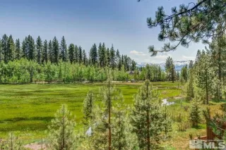 Photo #2: 240006325 Listing