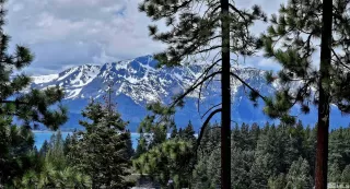 Photo #1: 240006343 Listing