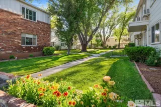 Photo #4: 240007254 Listing