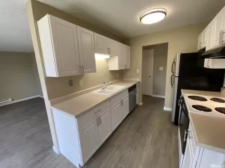 Photo #4: 240007608 Listing