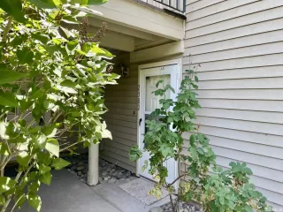 Photo #3: 240007736 Listing 