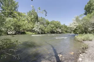 Photo #1: 240009183 Listing