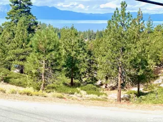 Photo #1: 240012011 Listing 