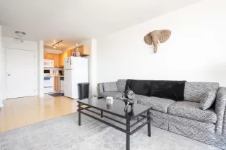 Photo #3: 240013032 Listing 