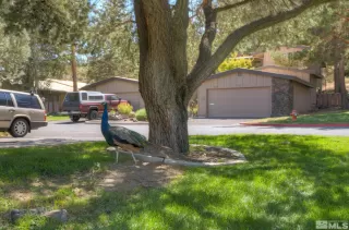 Photo #6: 240013398 Listing 