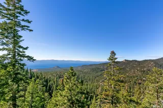 Photo #1: 240013579 Listing