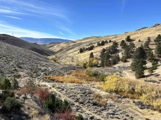 Photo #2: 240013877 Listing 