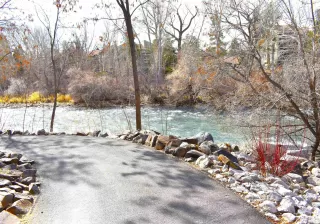 Photo #4: 250003389 Listing