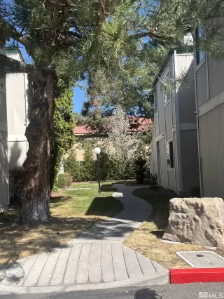 Photo #1: 250003853 Listing 