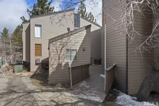 Photo #1: 250003921 Listing 