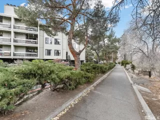 Photo #1: 250004111 Listing