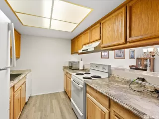 Photo #4: 250004111 Listing