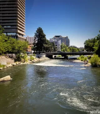 Photo #1: 250004353 Listing 