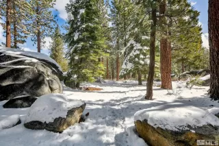 Photo #1: 250004458 Listing