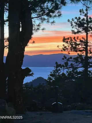 Photo #1: 250004747 Listing 