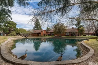 Photo #2: 250004946 Listing