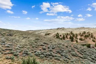 Photo #5: 250004988 Listing 