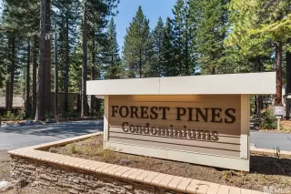 Photo #1: 250005290 Listing 