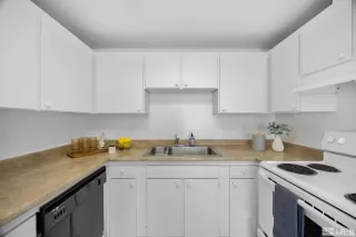 Photo #6: 250006490 Listing